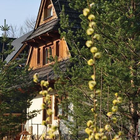 Ferienwohnung Gontyna Zakopane Exterior foto